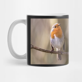 Robin gaze Mug